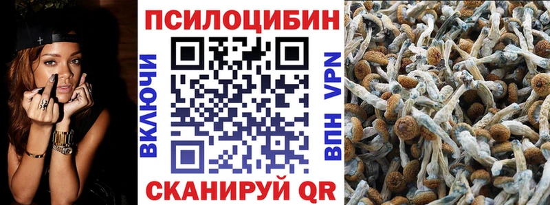 Псилоцибиновые грибы мицелий  ссылка на мегу   Александровск-Сахалинский  даркнет сайт 